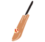 Cricket Bat