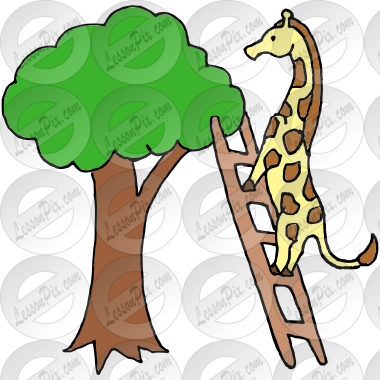 Giraffe on a Ladder