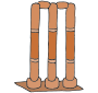 Wicket