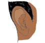 Ear Picture