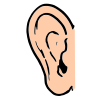 Ear Picture