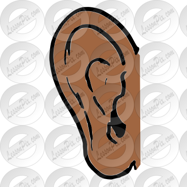 Ear