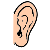 Ear Picture