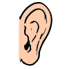 Touch+Ear Picture
