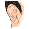 Ear Picture