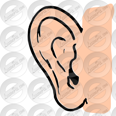 Ear