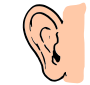 Ear Picture