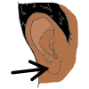 left+ear Picture