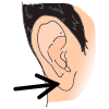 Earlobe Picture