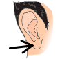 Earlobe Picture