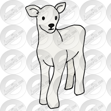 Lamb
