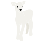 Lamb