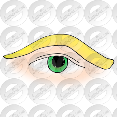 Eyebrow