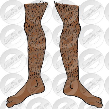 Hairy Legs