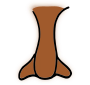Nose