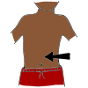 Stomach