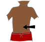 Stomach  Picture