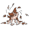 dog hair
