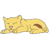Sleeping Lion Cub Picture