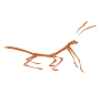 Stick Bug