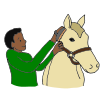 Groom
