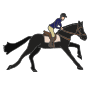 Gallop