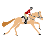 Gallop