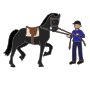 Horse Trainer Picture