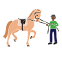 Horse Trainer Stencil