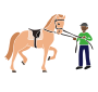 Horse Trainer