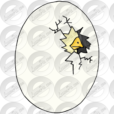 Hatch