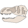 Fossil