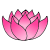 Lotus Picture