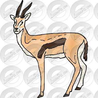 Gazelle