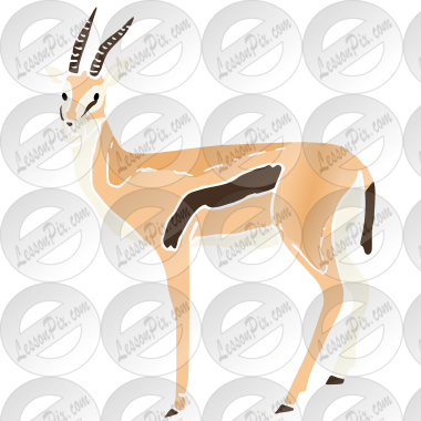 Gazelle