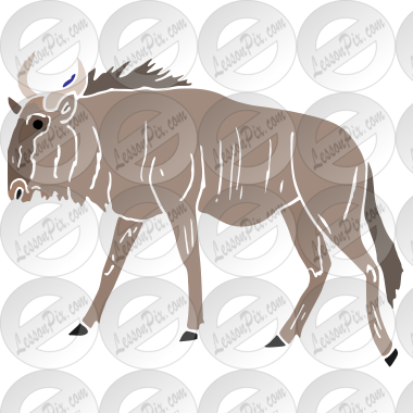 Wildebeast