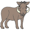 Warthog Picture