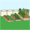 Vegetable Garden Picture