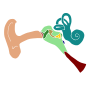 Ear