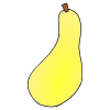 Squash  Picture