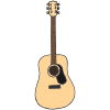 Guitar Picture