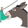 Hanky Panky Donkey