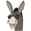 Spunky Donkey Picture