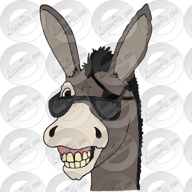Spunky Donkey