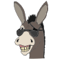 Spunky Donkey Picture