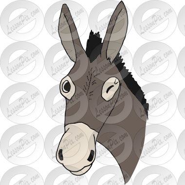 Winky Donkey