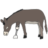 Wonky Donkey