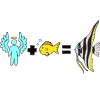 Angelfish Picture