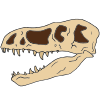 T-Rex Skull Picture