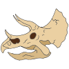 Triceratops Skull